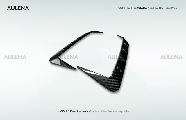 BMW X6 Aulena Design dry carbon performance Rear Canards
