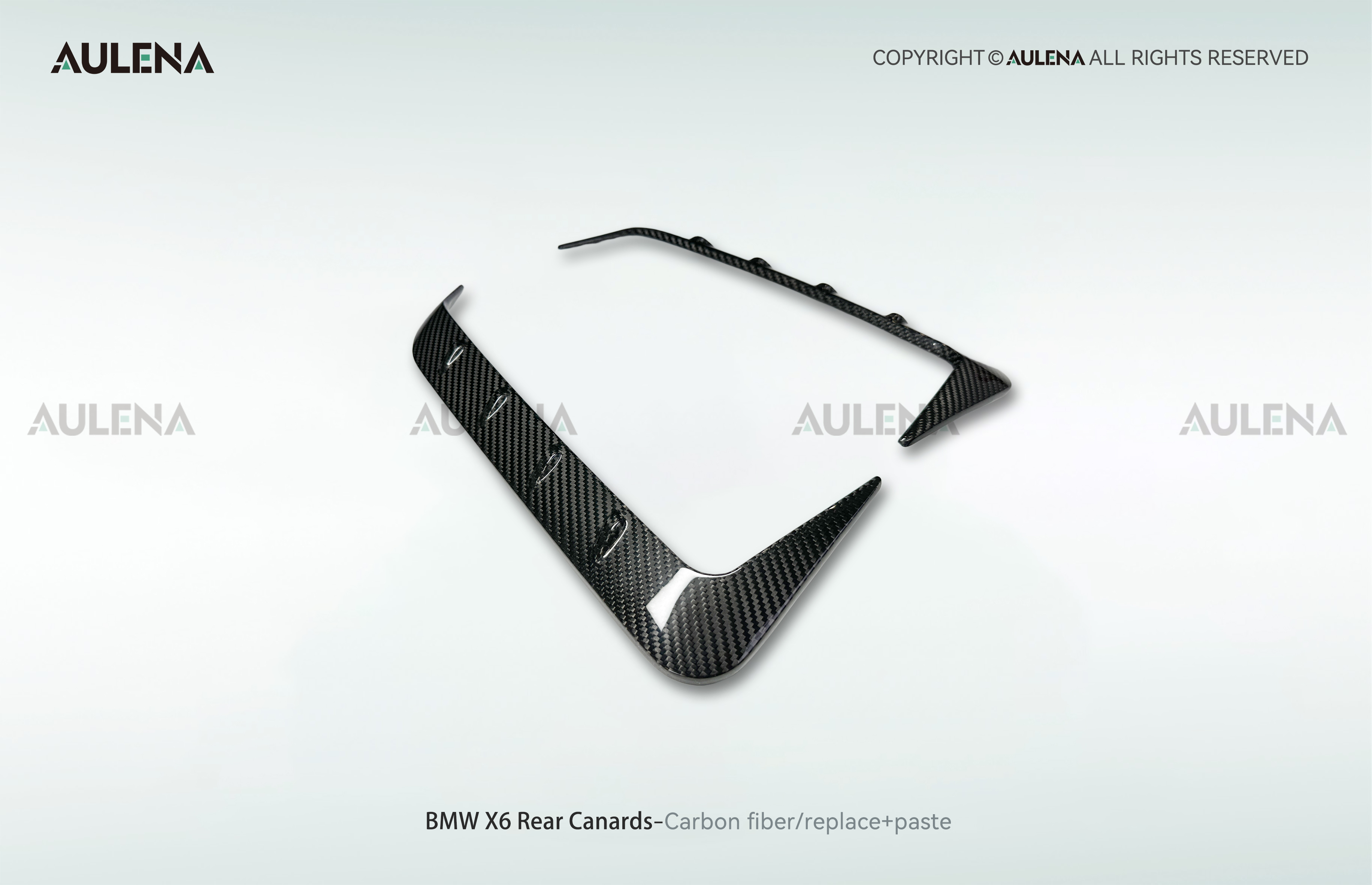 BMW X6 Aulena Design dry carbon performance Rear Canards