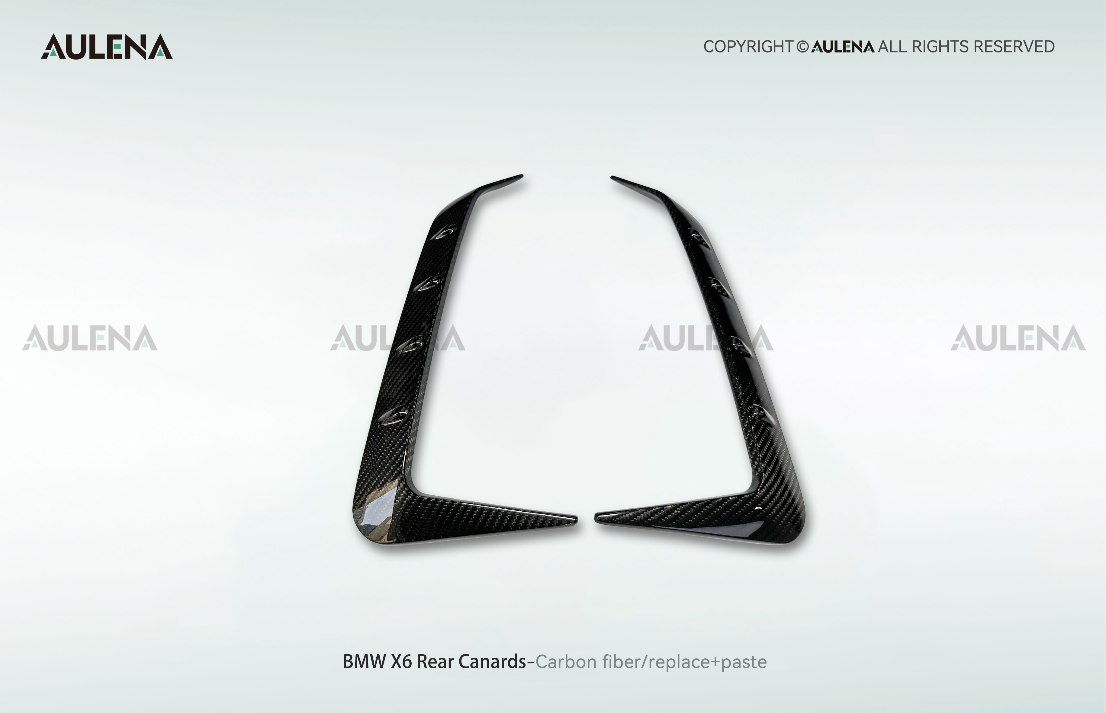 BMW X6 Aulena Design dry carbon performance Rear Canards