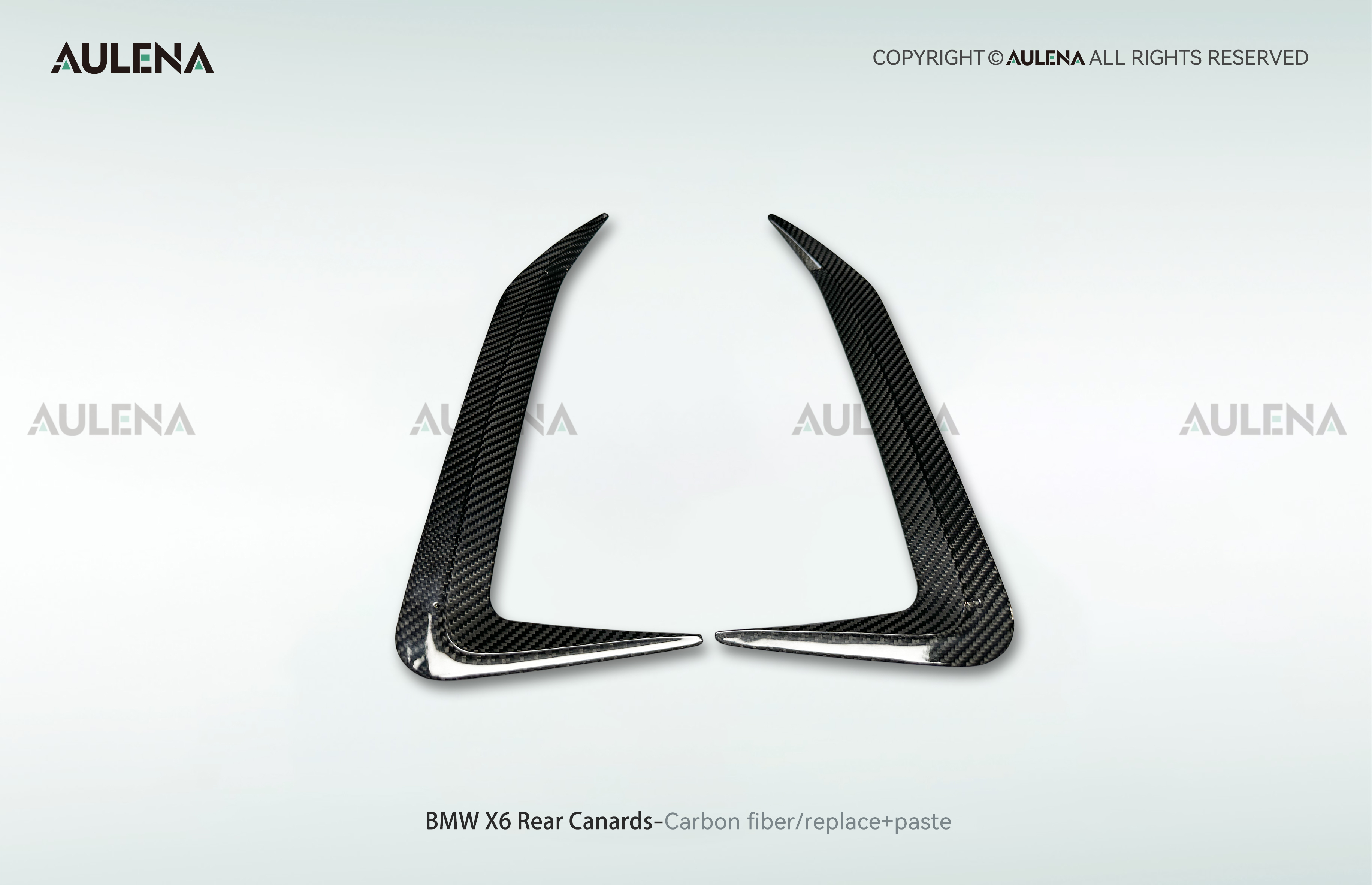 BMW X6 Aulena Design dry carbon performance Rear Canards