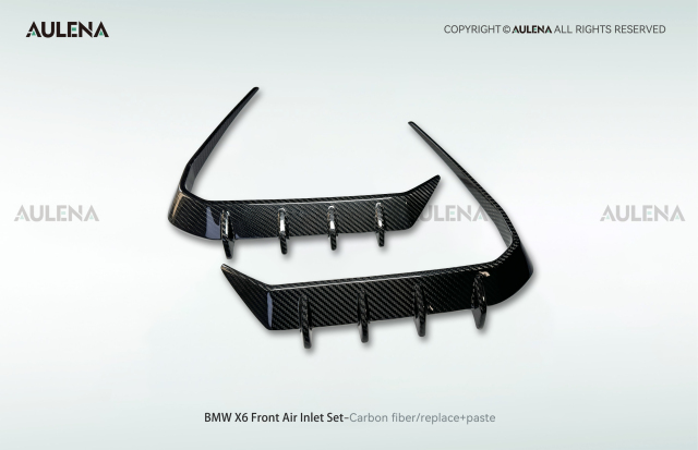BMW X6 Aulena Design dry carbon performance Front Air Inlet Set