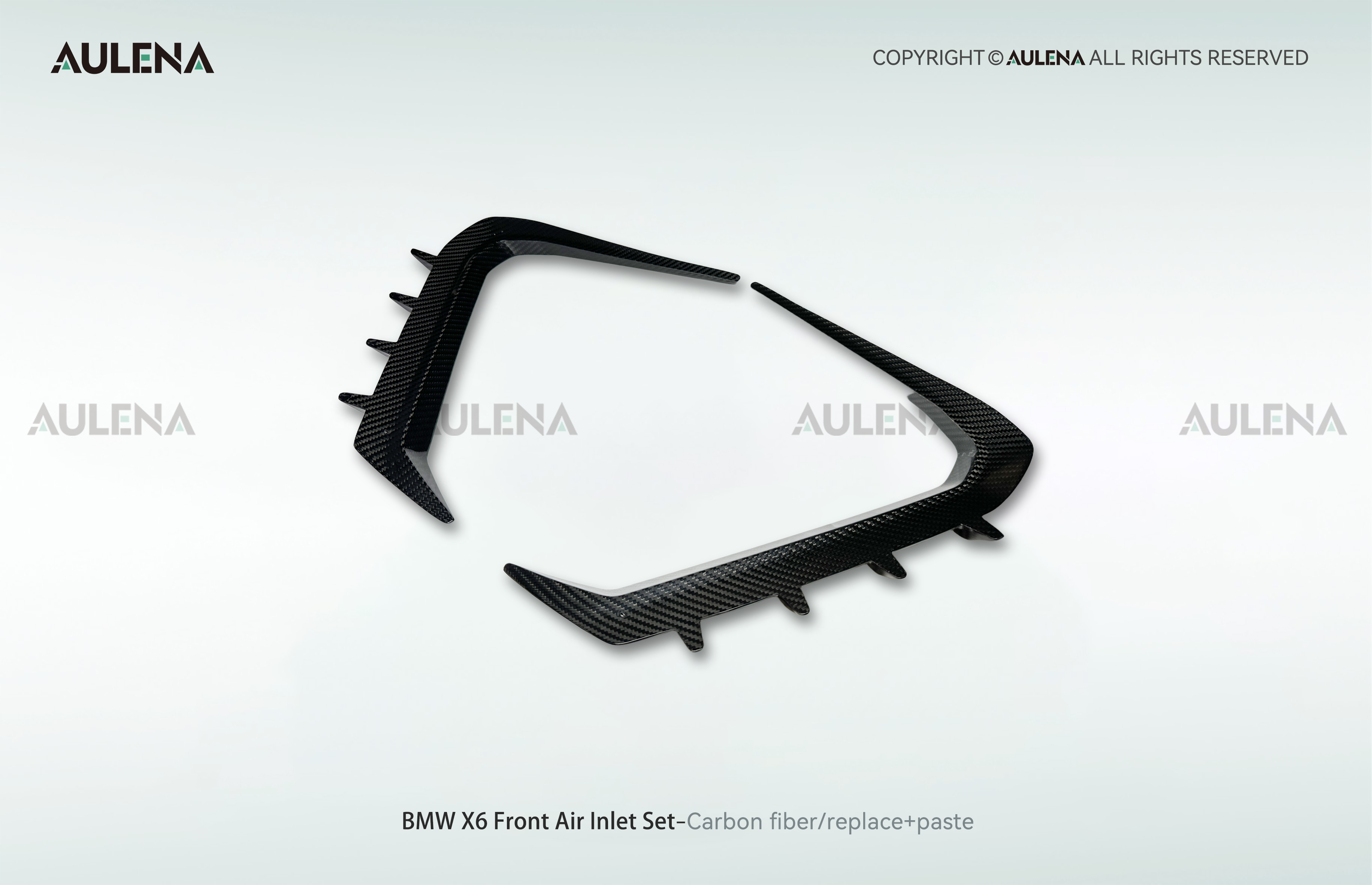 BMW X6 Aulena Design dry carbon performance Front Air Inlet Set