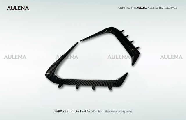 BMW X6 Aulena Design dry carbon performance Front Air Inlet Set