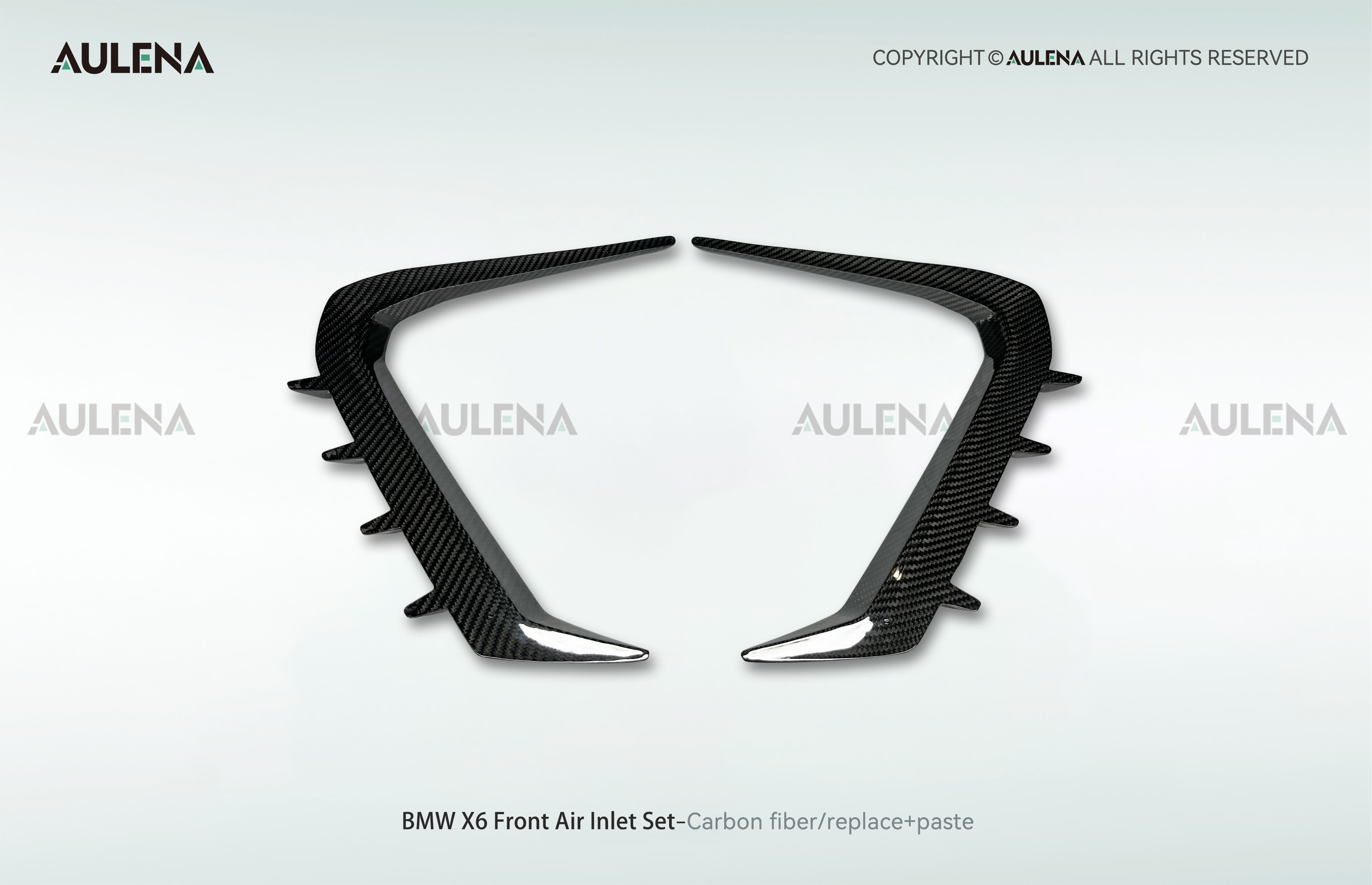 BMW X6 Aulena Design dry carbon performance Front Air Inlet Set