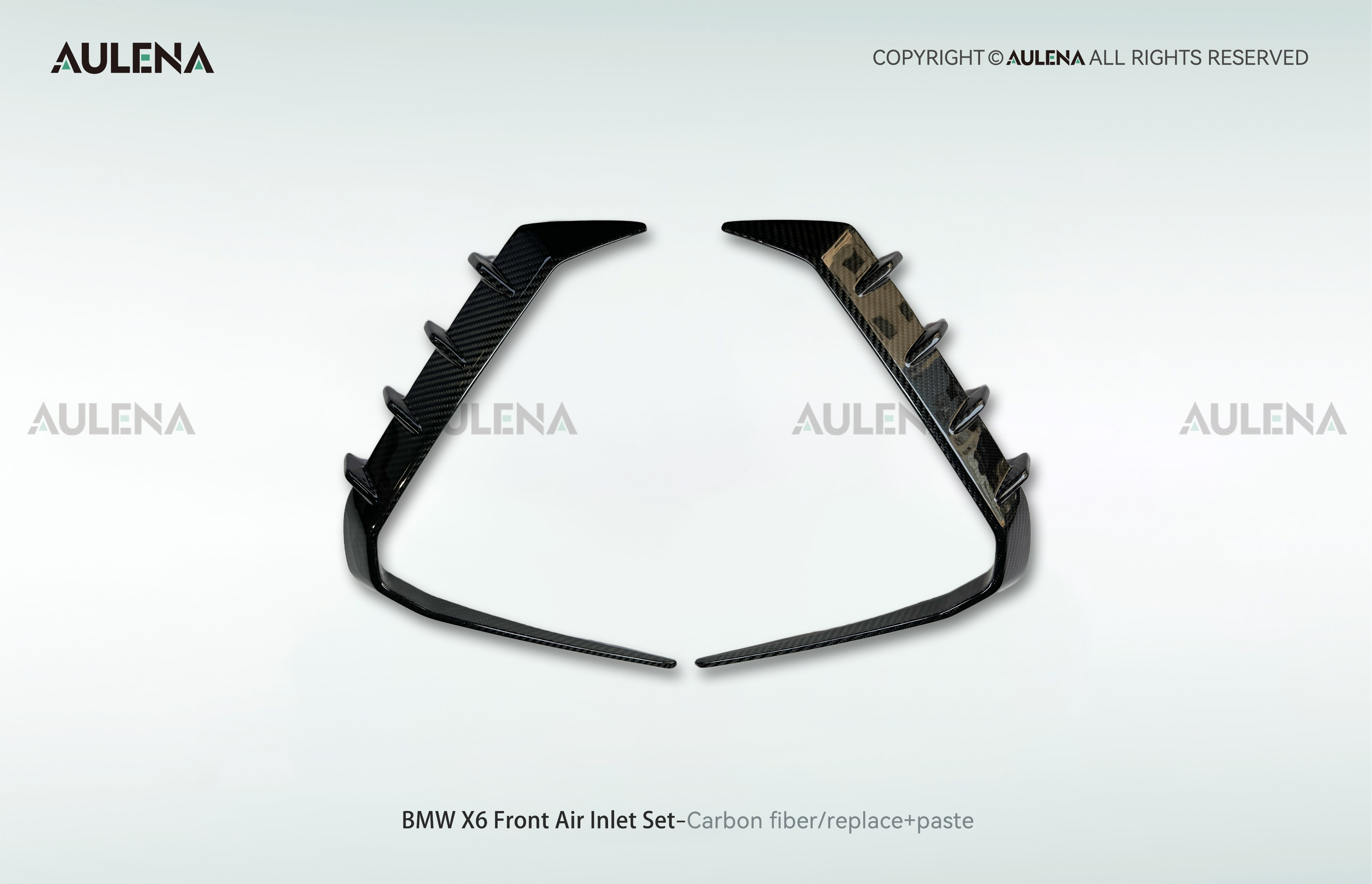BMW X6 Aulena Design dry carbon performance Front Air Inlet Set