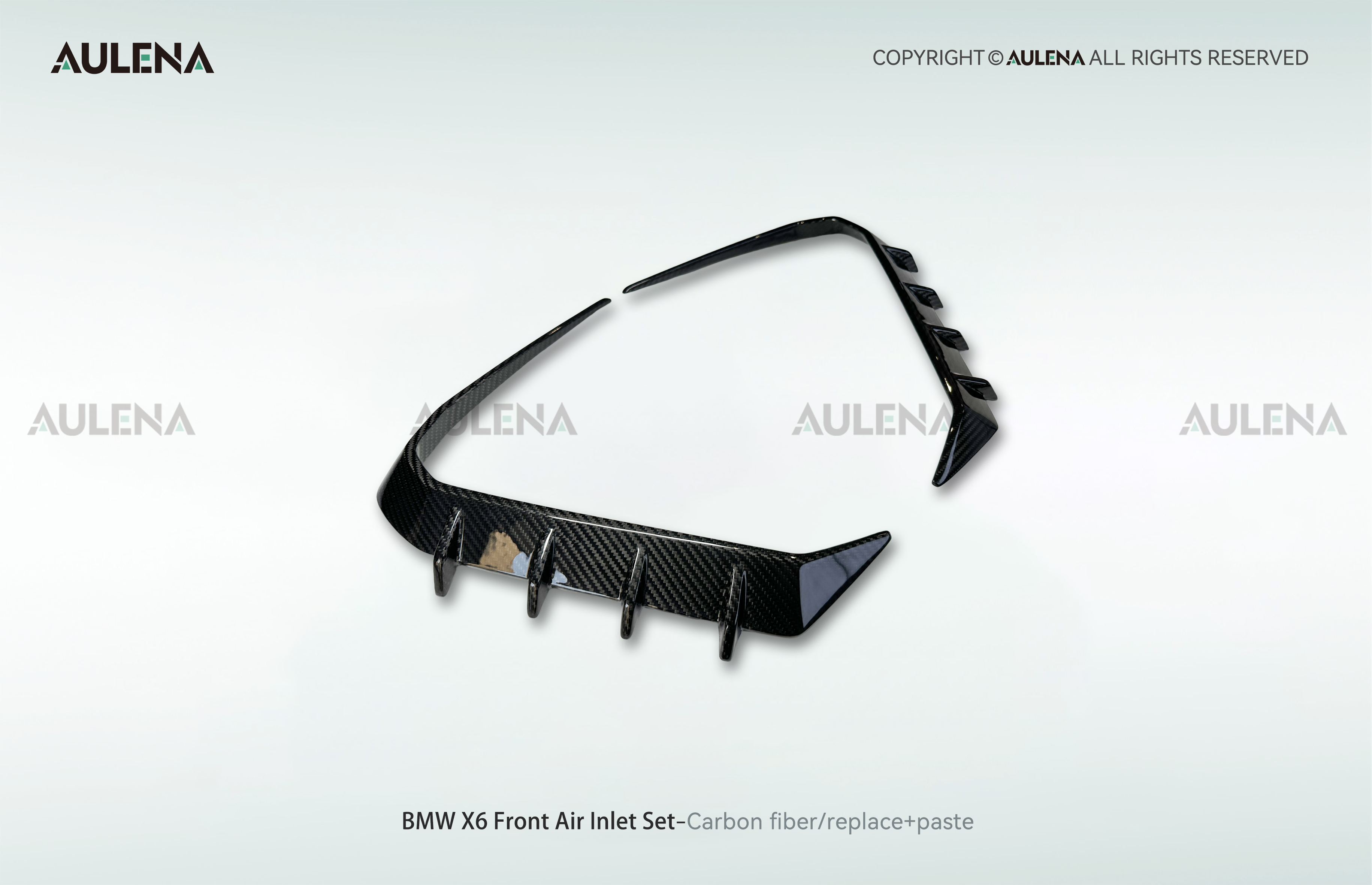 BMW X6 Aulena Design dry carbon performance Front Air Inlet Set