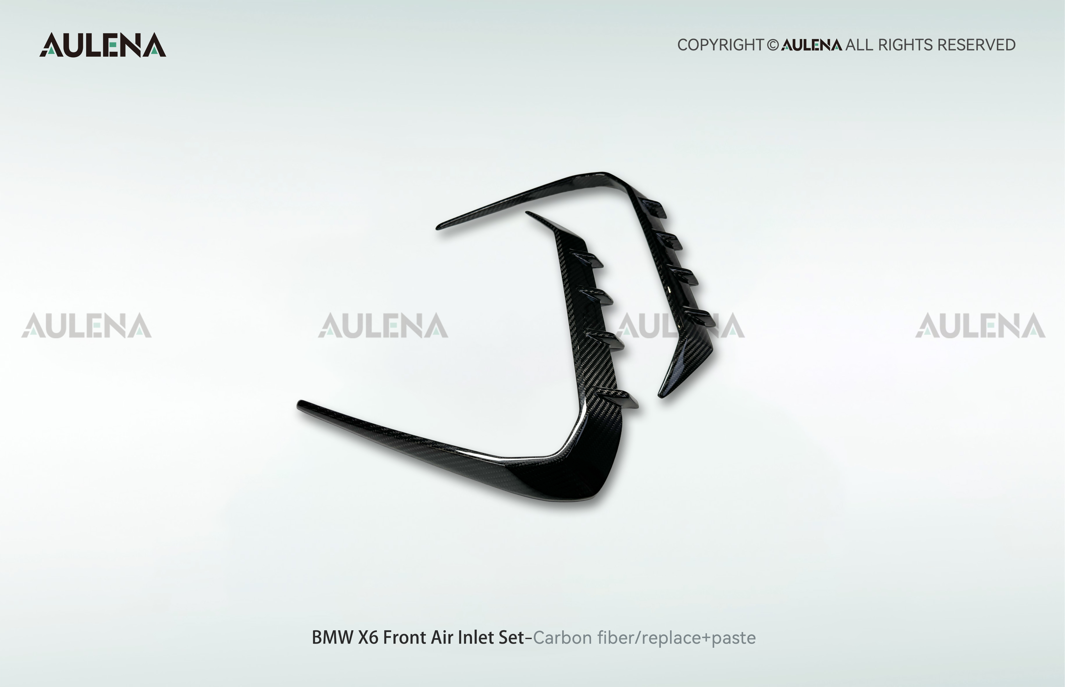 BMW X6 Aulena Design dry carbon performance Front Air Inlet Set