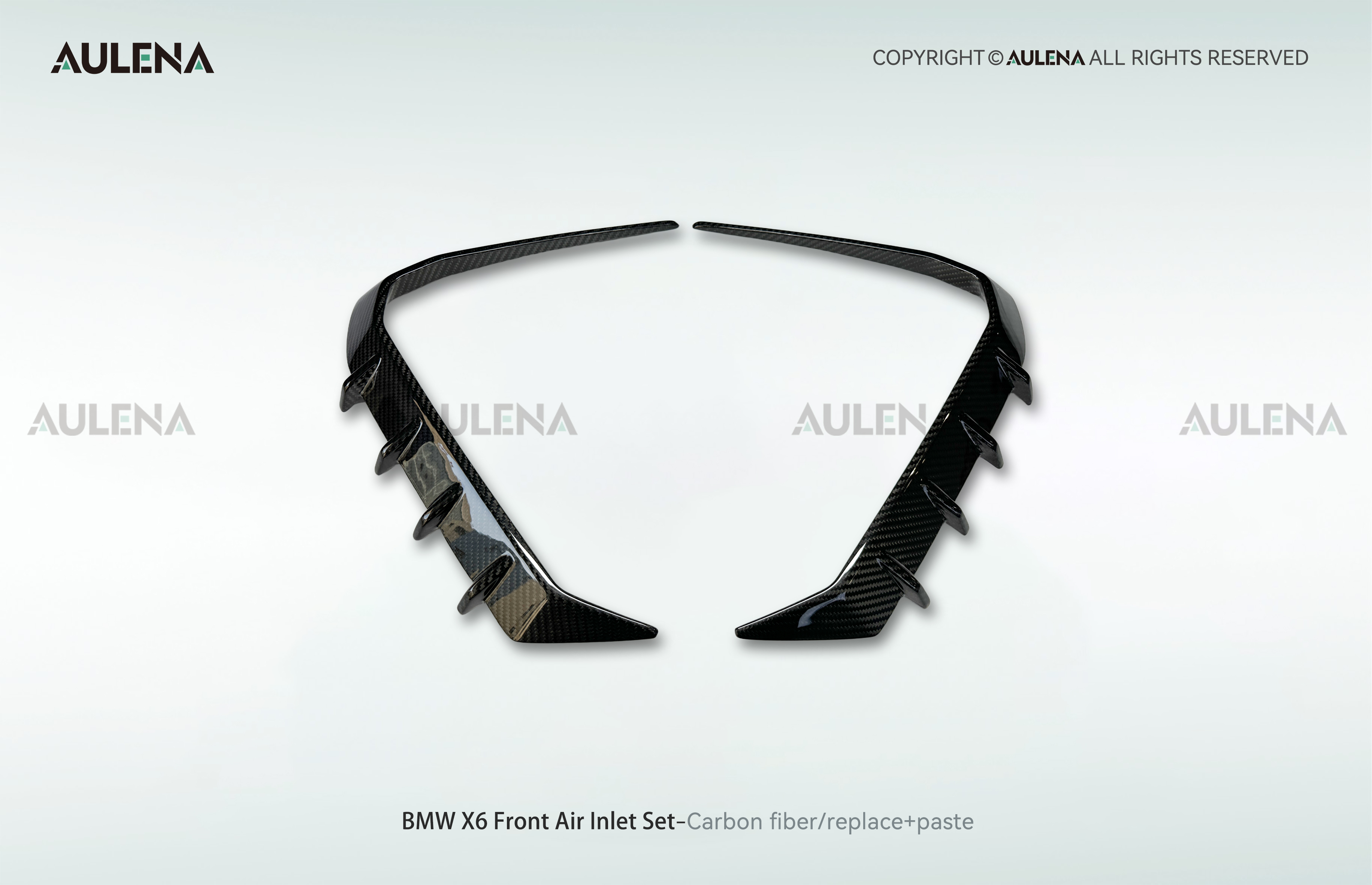 BMW X6 Aulena Design dry carbon performance Front Air Inlet Set