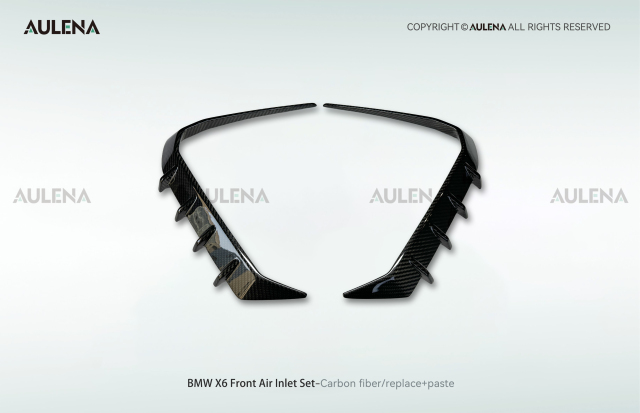 BMW X6 Aulena Design dry carbon performance Front Air Inlet Set