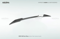 BMW X6M Aulena Design dry carbon performance Rear Wing
