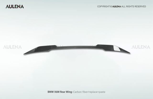 BMW X6M Aulena Design dry carbon performance Rear Wing
