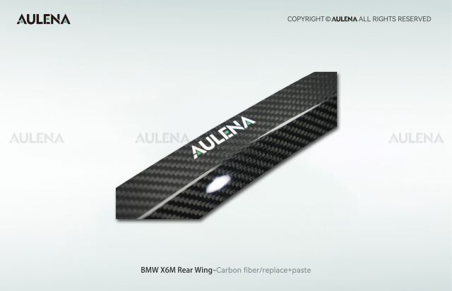 BMW X6M Aulena Design dry carbon performance Rear Wing