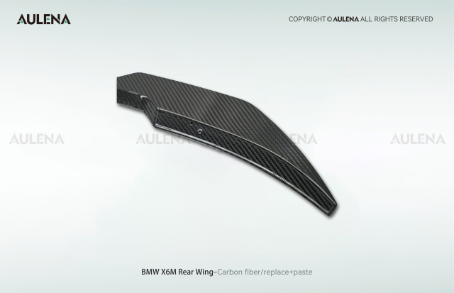 BMW X6M Aulena Design dry carbon performance Rear Wing