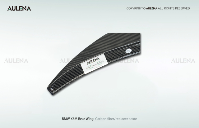 BMW X6M Aulena Design dry carbon performance Rear Wing