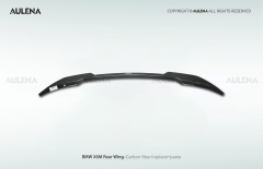 BMW X6M Aulena Design dry carbon performance Rear Wing