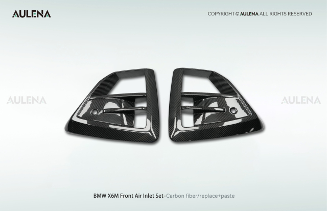 BMW X6M Aulena Design dry carbon performance Front Air Inlet Set