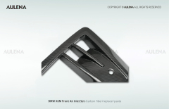 BMW X6M Aulena Design dry carbon performance Front Air Inlet Set