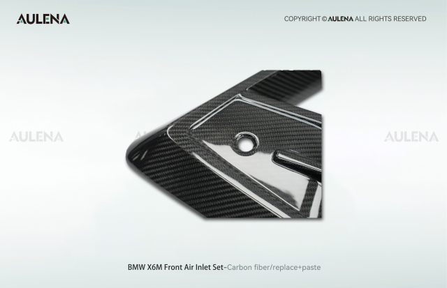 BMW X6M Aulena Design dry carbon performance Front Air Inlet Set