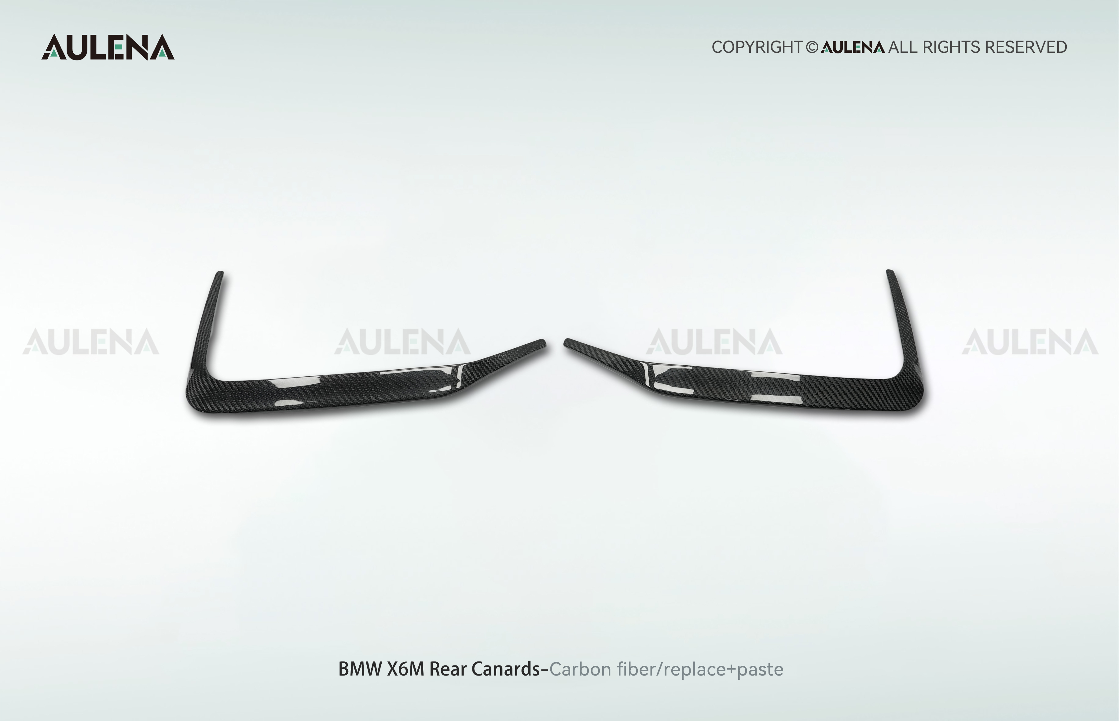 BMW X6M Aulena Design dry carbon performance Rear Canards