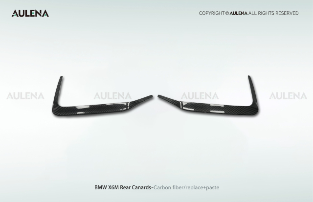BMW X6M Aulena Design dry carbon performance Rear Canards