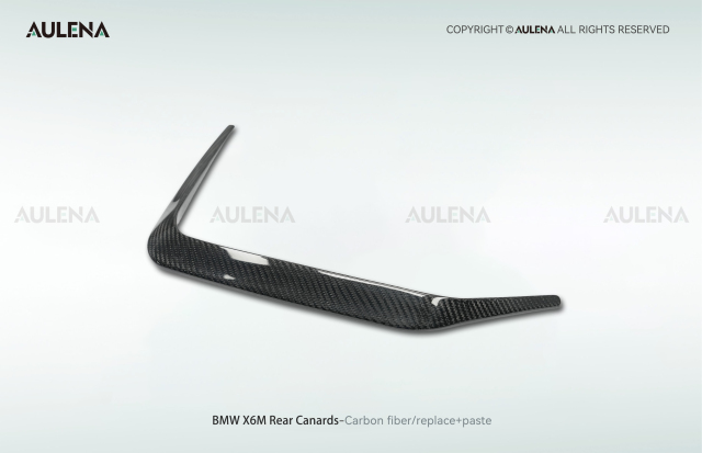 BMW X6M Aulena Design dry carbon performance Rear Canards