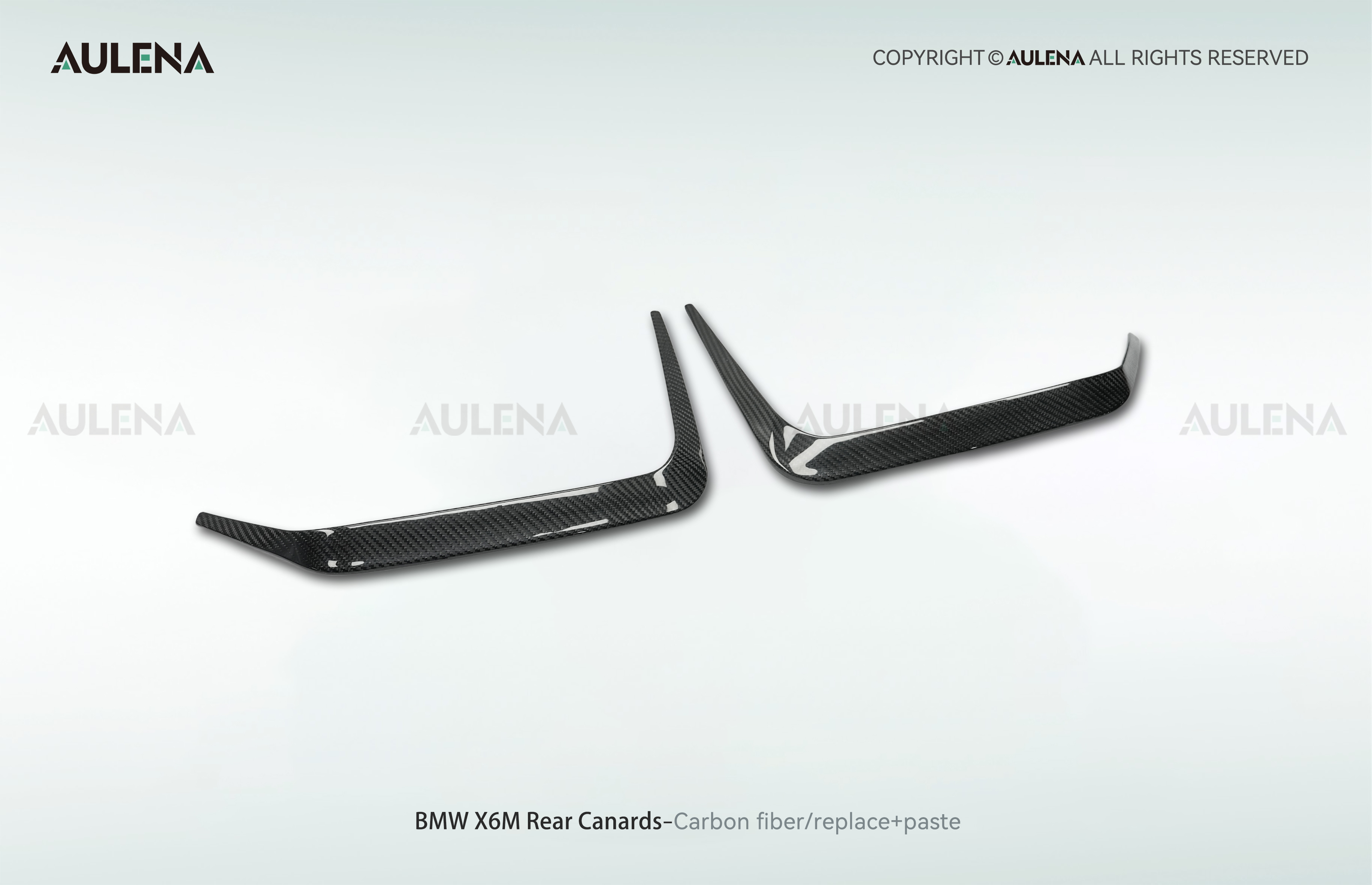 BMW X6M Aulena Design dry carbon performance Rear Canards
