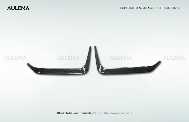 BMW X6M Aulena Design dry carbon performance Rear Canards