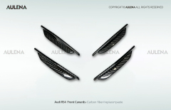 Audi RS4 Aulena Design dry carbon performance Front Canards