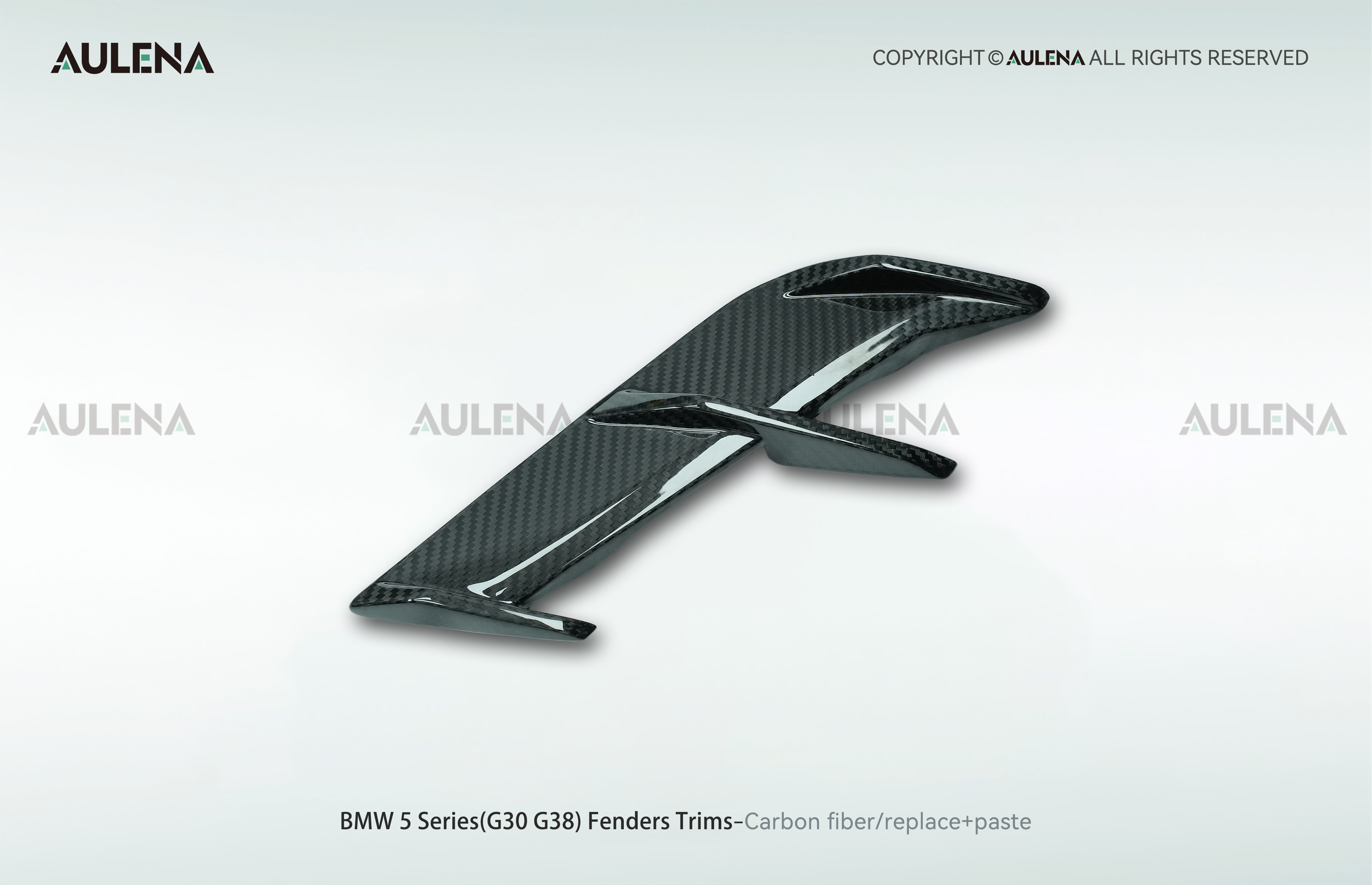 BMW 5 Series(G30/G38) Aulena Design dry carbon performance Fenders Trims