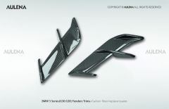 BMW 5 Series(G30/G38) Aulena Design dry carbon performance Fenders Trims
