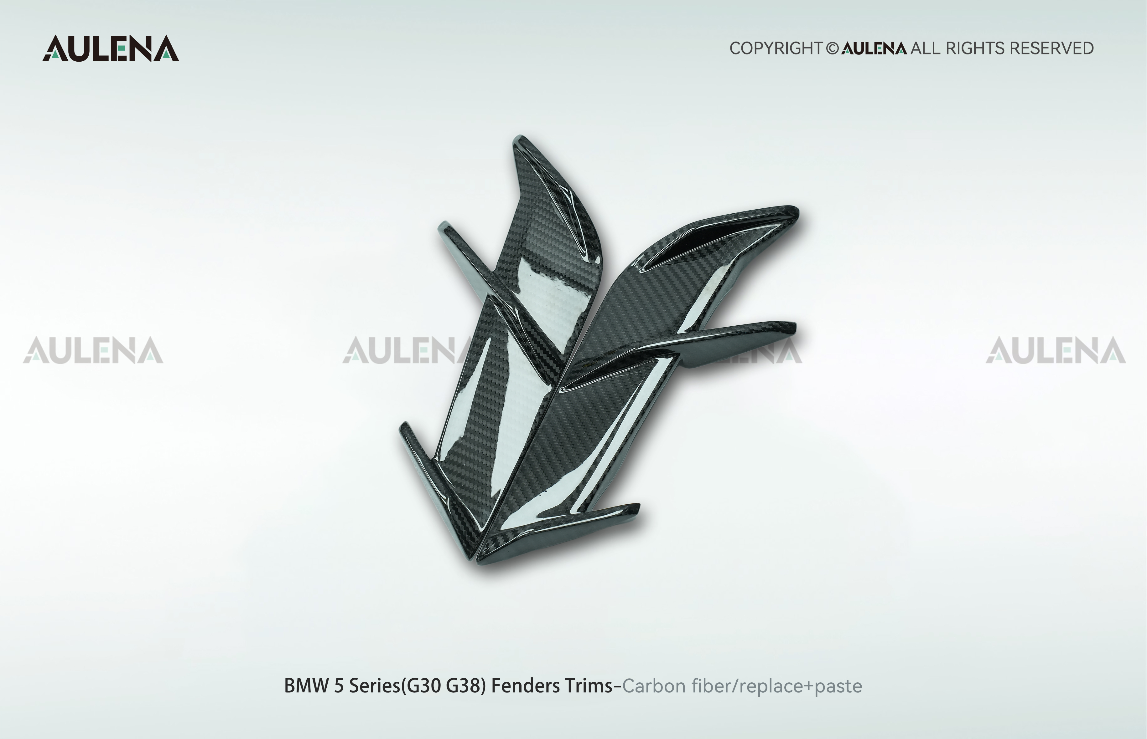 BMW 5 Series(G30/G38) Aulena Design dry carbon performance Fenders Trims