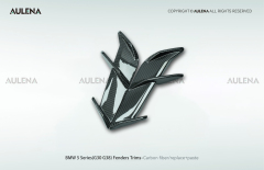 BMW 5 Series(G30/G38) Aulena Design dry carbon performance Fenders Trims