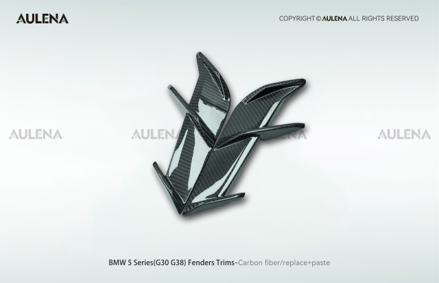 BMW 5 Series(G30/G38) Aulena Design dry carbon performance Fenders Trims