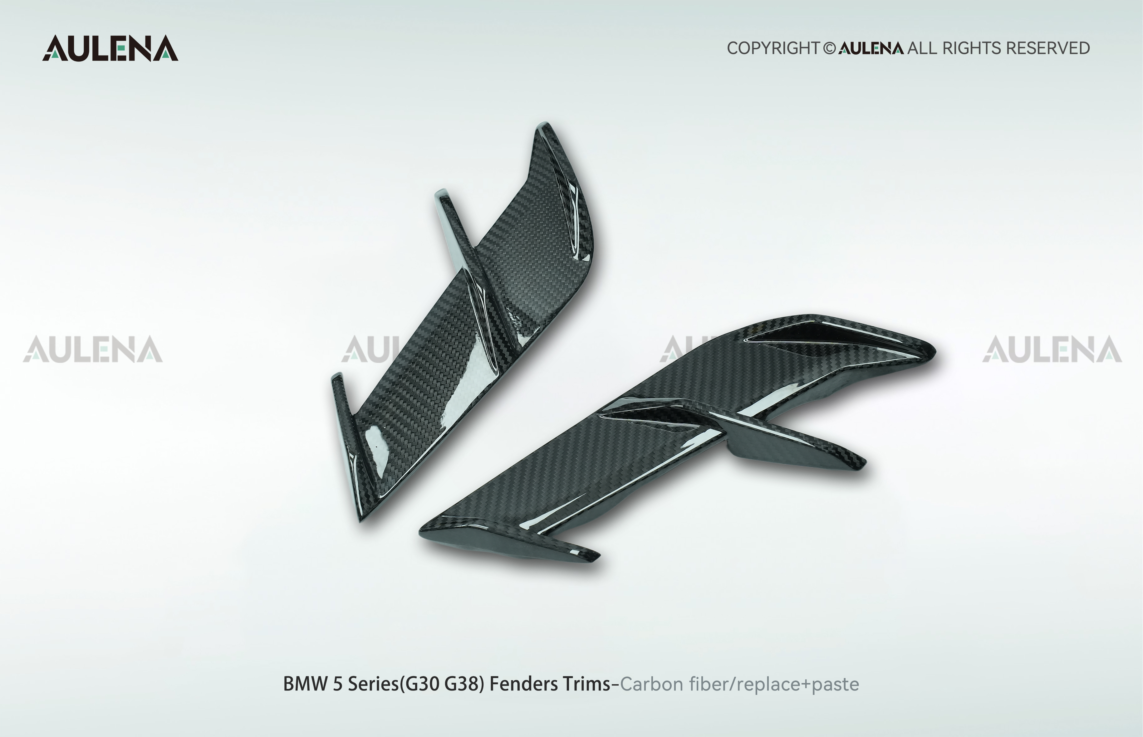 BMW 5 Series(G30/G38) Aulena Design dry carbon performance Fenders Trims