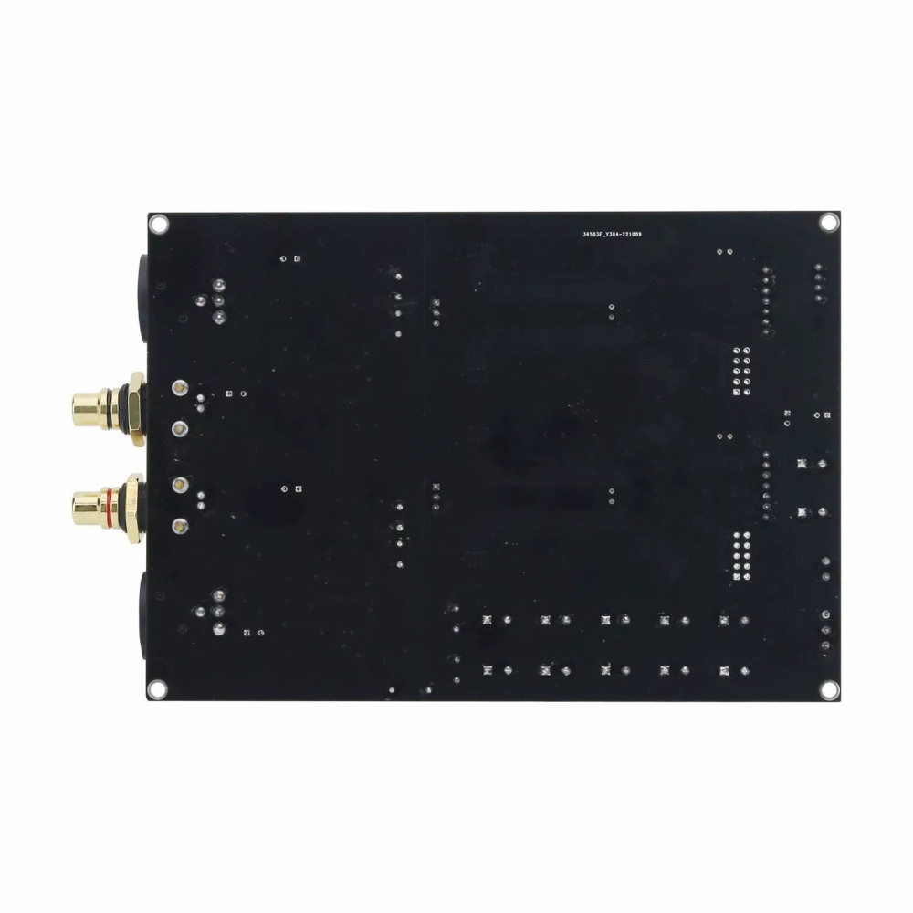 R-2R XY-SLR DAC Board - Discrete Ladder DAC Module | PCM 24Bit 384Khz Decoder Board | 0.1% Accuracy
