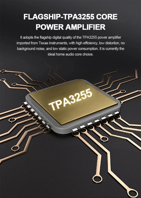TPA3255 XLR Digital Amplifier Fully Balanced Input Output 300W*2 Audiophile HiFi Stereo Amp