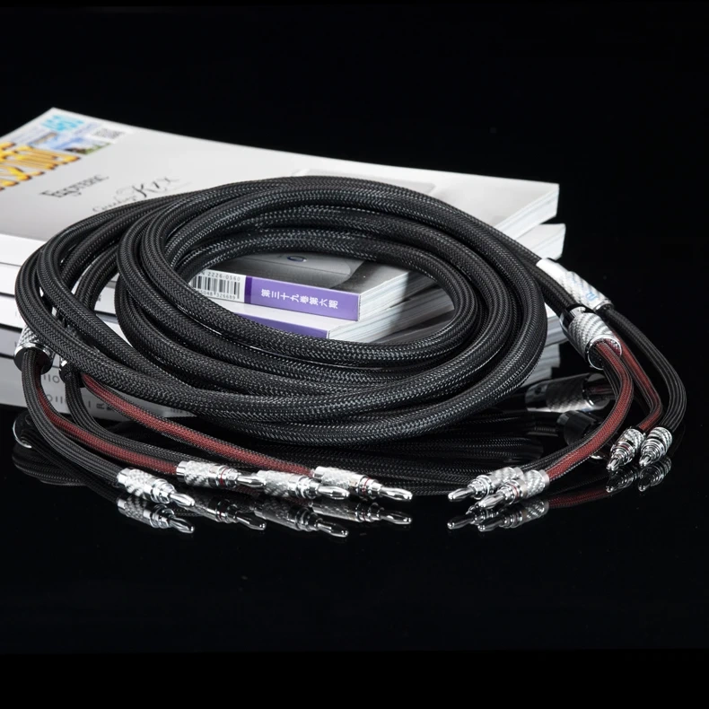Muzishare MS-V880-F HiFi Speaker Cable, High Purity OFC Audiophile Wire with Rhodium Plated Carbon Fiber Banana Plugs