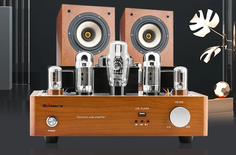 Oldchen 6CA7 Tube Amplifier Bluetooth 5U4G 6SN7GT EL34 Amp USB Lossless
