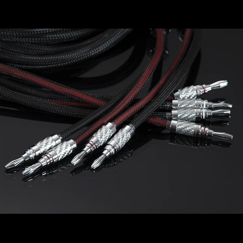 Muzishare MS-V880-F HiFi Speaker Cable, High Purity OFC Audiophile Wire with Rhodium Plated Carbon Fiber Banana Plugs