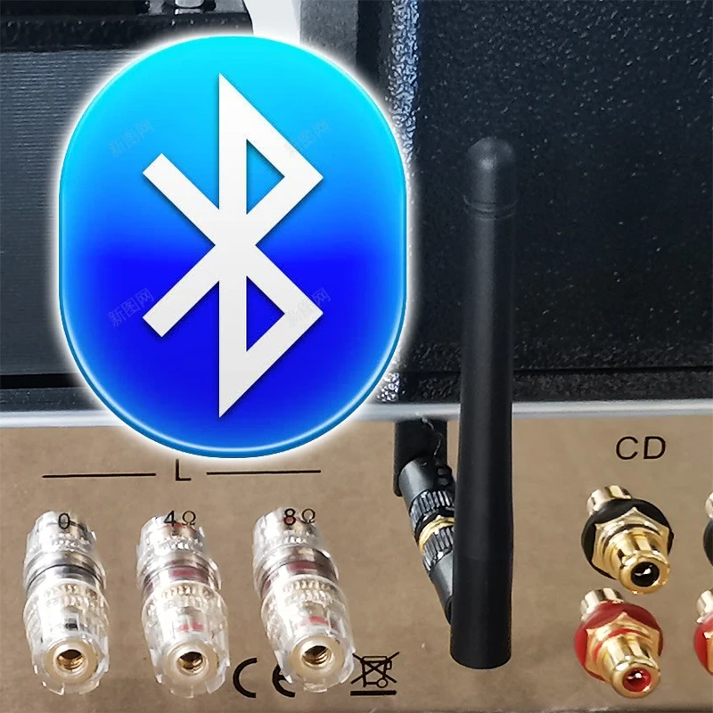 Boyuu 300B Tube Amplifier Pure Power Amplifier A50 Tube Single-ended HIFI