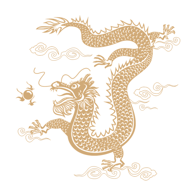 China dragon pattern 3