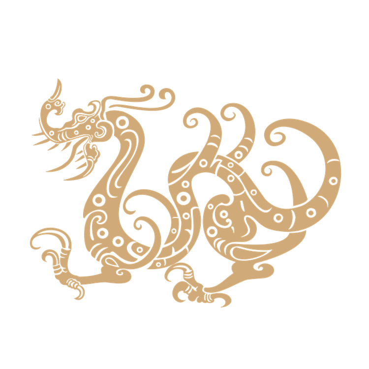 China dragon pattern 2
