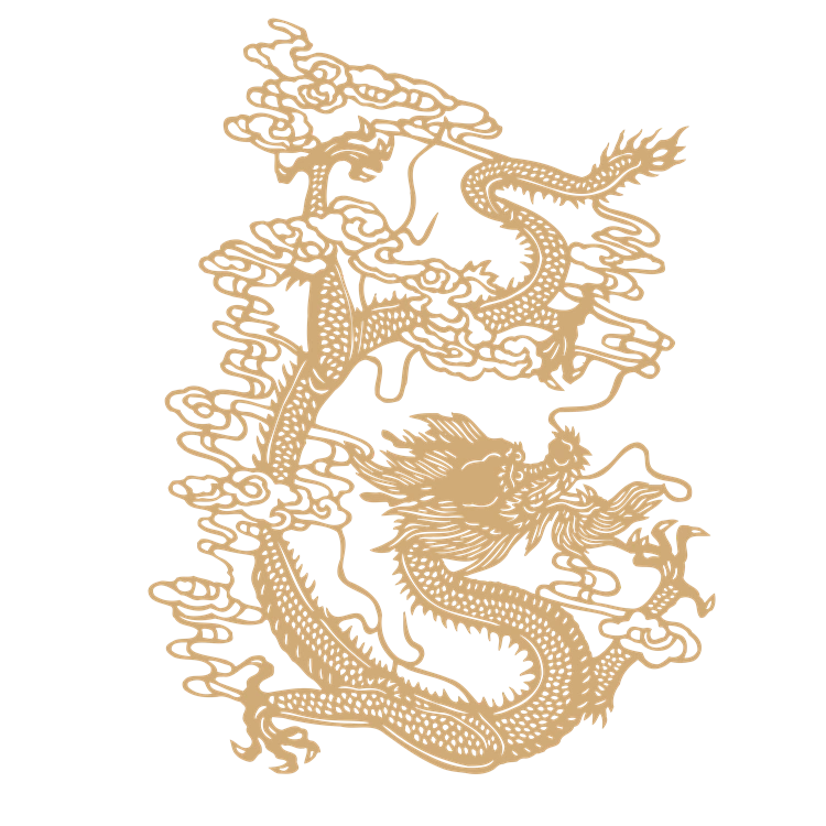 Chinese art dragon pattern 19