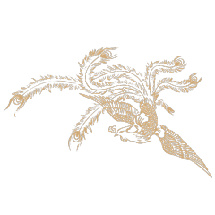 Chinese art phoenix pattern 66