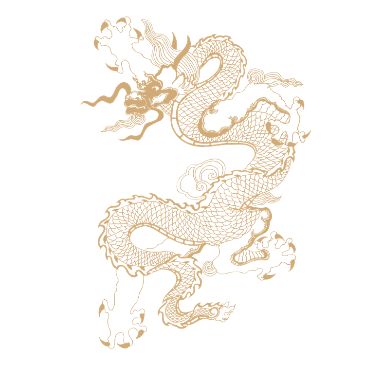 Chinese art dragon pattern 13