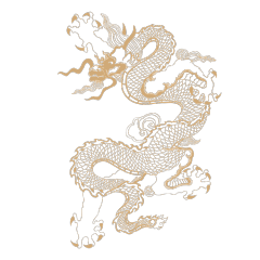 Chinese art dragon pattern 13