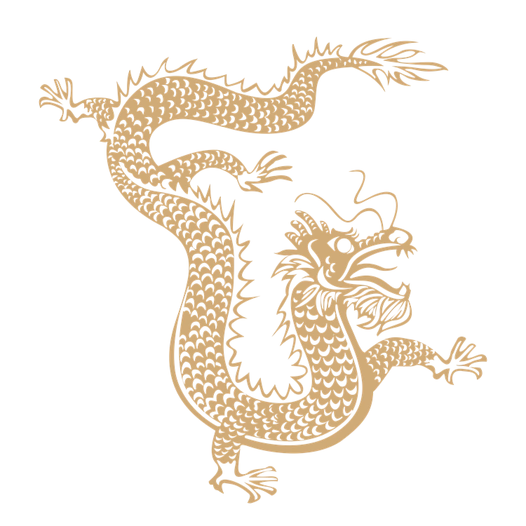 Chinese art dragon pattern 30