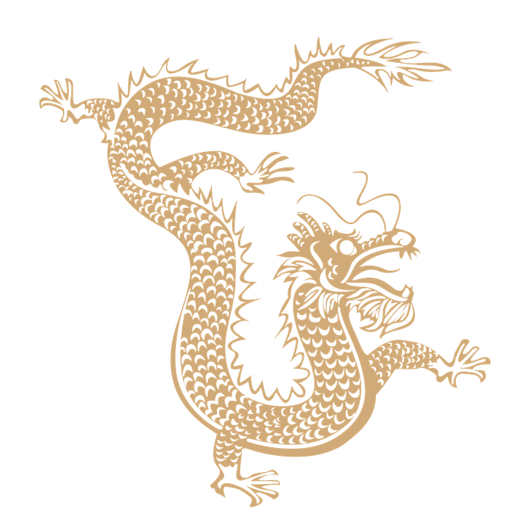 Chinese art dragon pattern 30