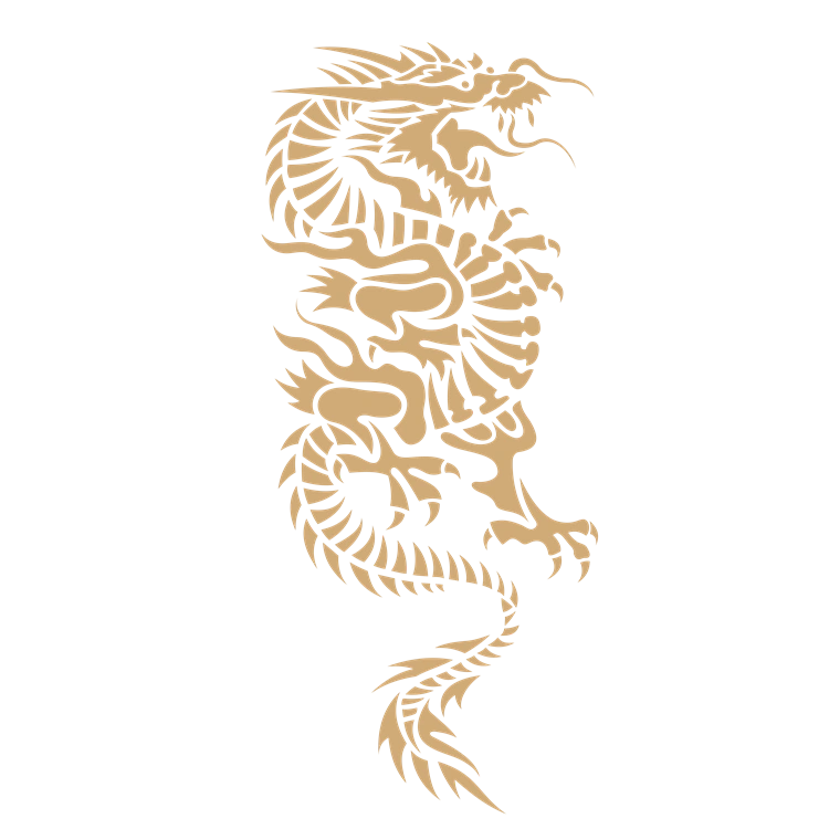 Chinese art dragon pattern 27