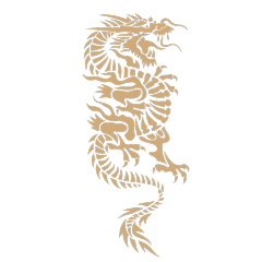 Chinese art dragon pattern 27